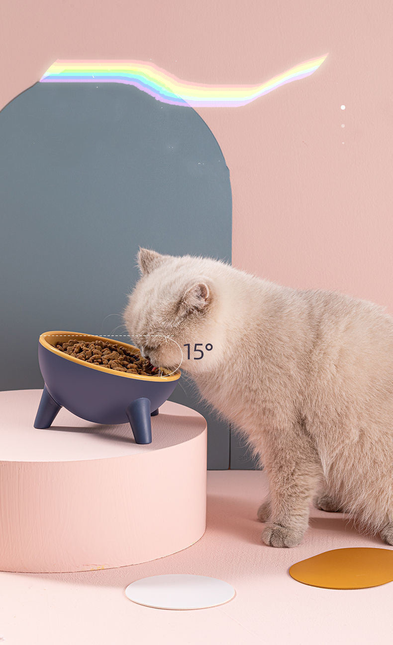 Katze frisst aus einem erhöhten Futternapf mit Neigung
