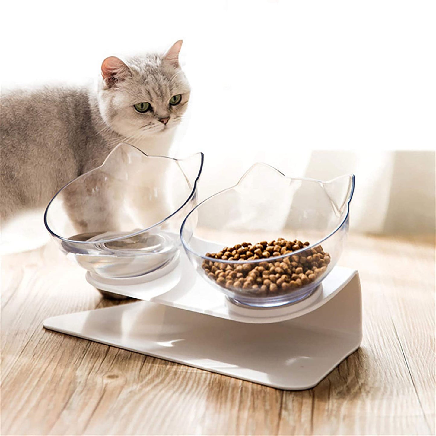 Katze vor einem erhöhten Doppel-Napf mit Futter und Wasser