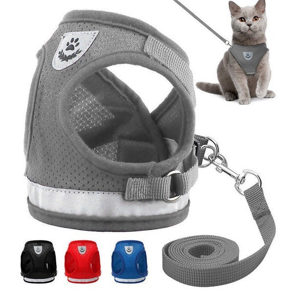 Haustierhalsband für Hunde und Katzen – verstellbar und bequem