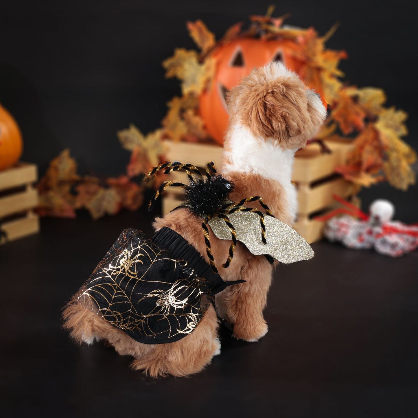 Halloween Kostüm