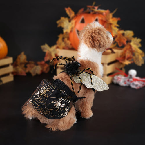 Halloween Kostüm