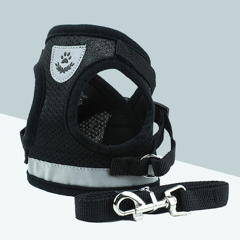 Verstellbares Haustierhalsband im Detail