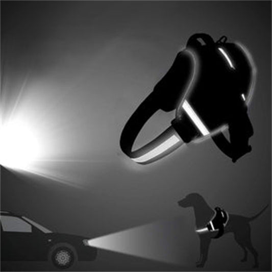 Brustgeschirr mit Leine für Hunde

