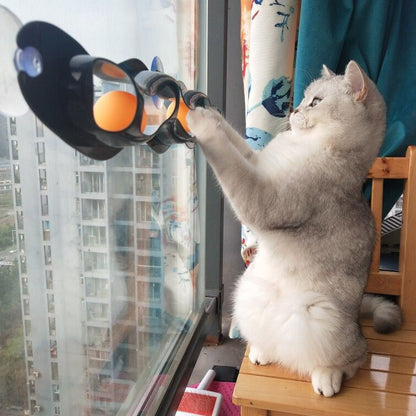 Katze spielt mit einem am Fenster befestigten Katzenspielzeug