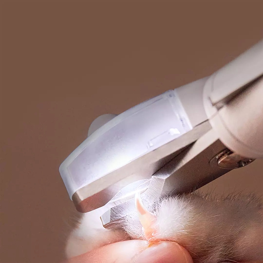 Professionelle Krallenschere mit LED-Licht Produktbild