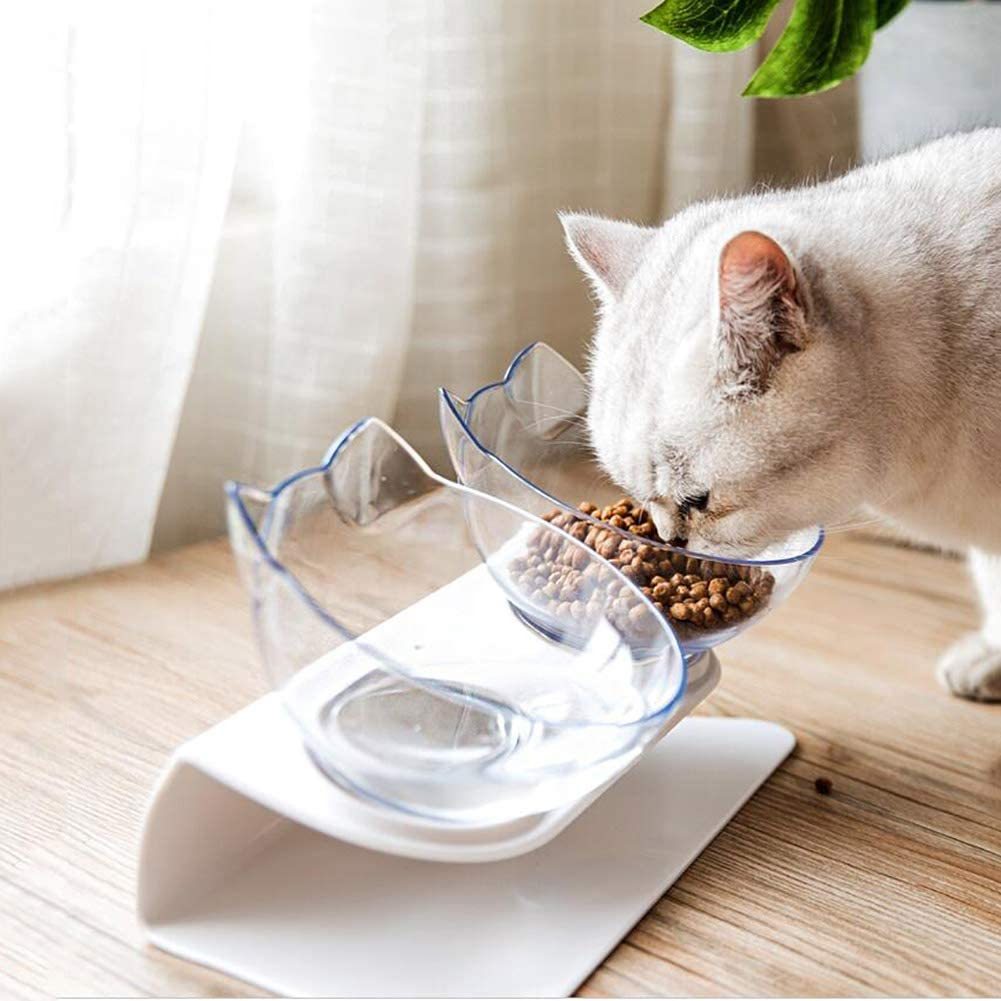Katze frisst aus einem erhöhten Doppel-Napf