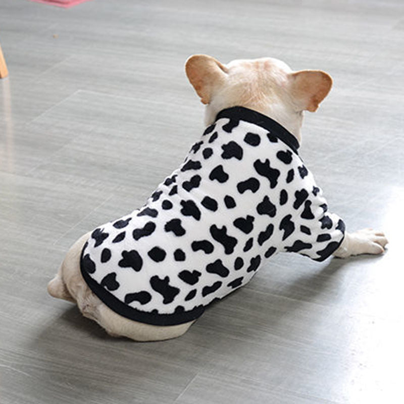Liegender Hund im Hundeschlafanzug