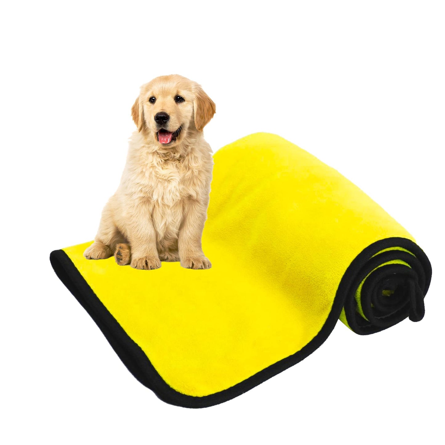  Hund wird nach dem Baden mit schnelltrocknendem Haustierhandtuch abgetrocknet

