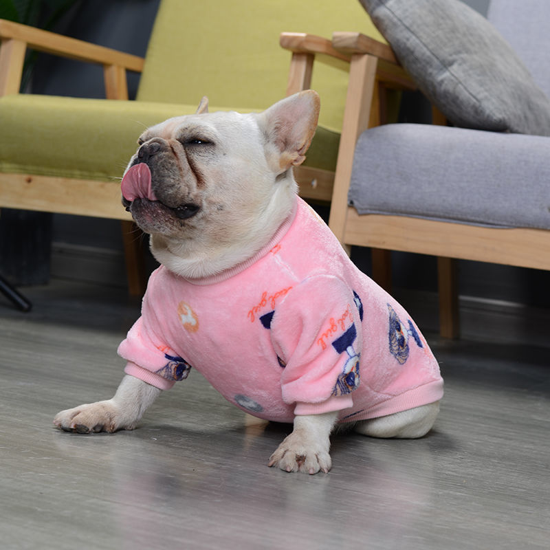 Sitzender Hund im Hundeschlafanzug
