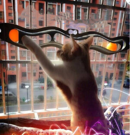 Katze spielt mit einem Fensterbrett-Spielzeug am Fenster
