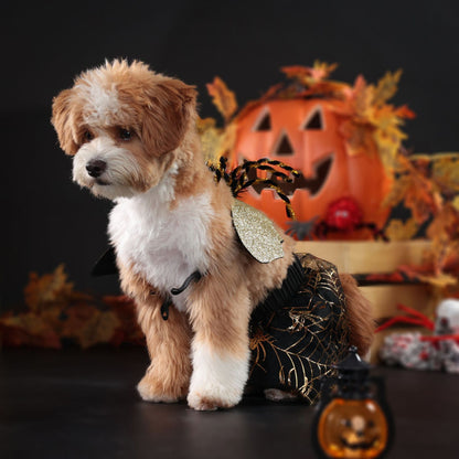 Halloween Kostüm