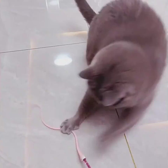 Katze jagt Simulationskopf des Katzenteasers