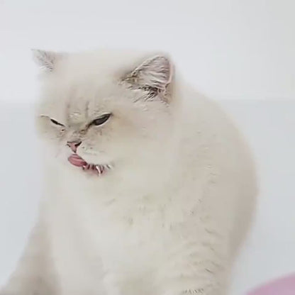 Anwendung des Katzen- und Hundenapfs mit Ständer