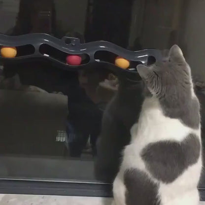 Anwendung des Fensterbrett-Spielzeugs mit Katze