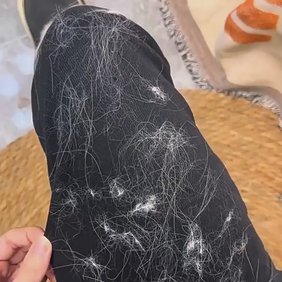 Anwendung des Tierhaar-Entferner Handschuhs