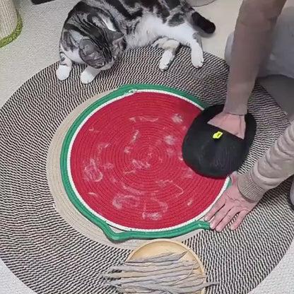 Demonstration der Anwendung des Tierhaar-Handschuhs