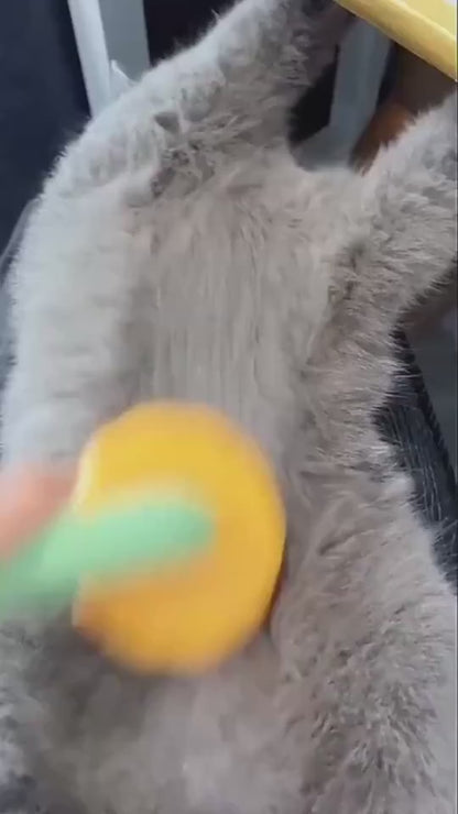 Fellpflege mit dem selbstreinigenden Fellkamm