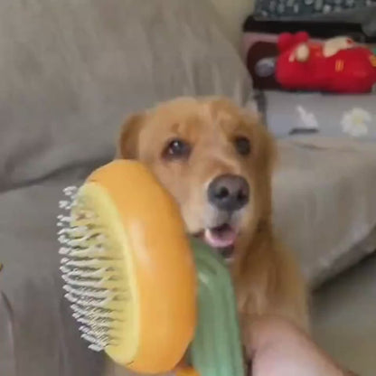 Anwendung des selbstreinigenden Fellkamms bei einem Hund