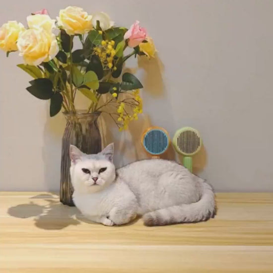 Selbstreinigender Fellkamm in der Anwendung